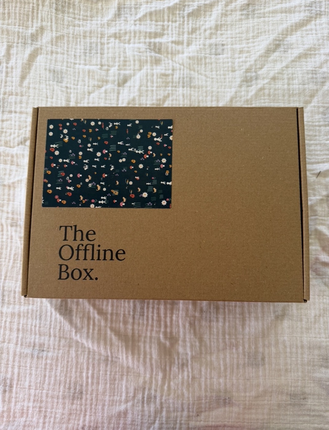 The Offline Box as it arrives, hand-printed lid and all