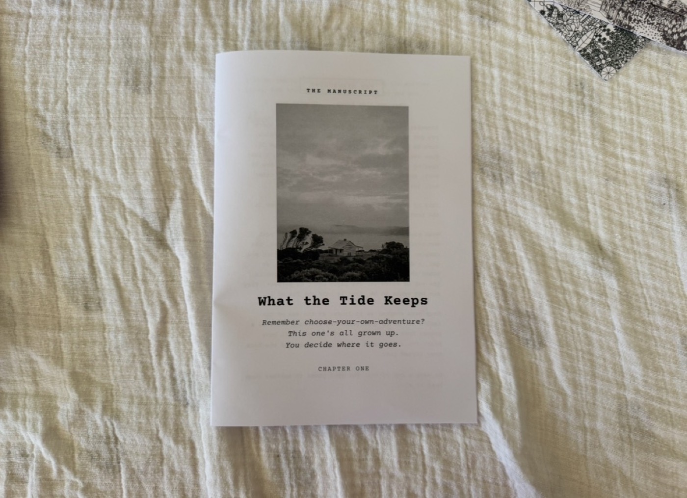 The Manuscript: What the Tide Keeps, chapter one